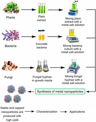 Recent advances in the use of biogenic nanomaterials and photocatalysts for wastewater treatment: challenges and future prospects